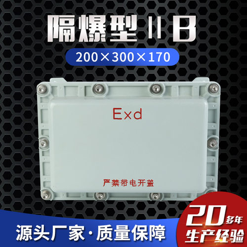 防爆配电箱ⅡBT6200×300×170
