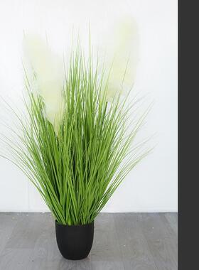 真花芦IQE苇草仿大花穗客厅插花窗橱干花直间摆设装饰播花艺落地
