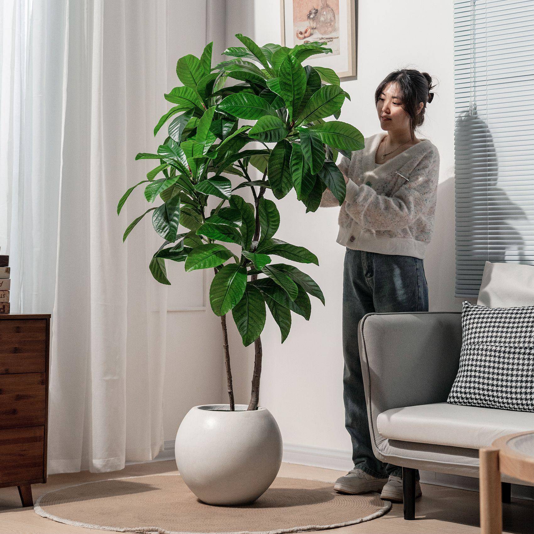 仿真植植物仿枇杷DY-85968树假植物室客厅内造景装饰生绿杜英盆栽