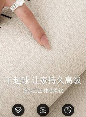 地毯F98JS576客免厅205新款洗可擦轻奢感现2代简约沙发家垫用地天