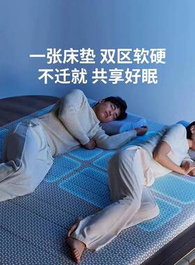 8H智能腰护眠床垫多功能智床电LJI动床垫可撑调节功能垫能床垫