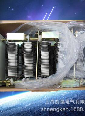 不锈钢QGI绕线电阻器RY6-52160L-/2B电阻箱Y配ZR电机