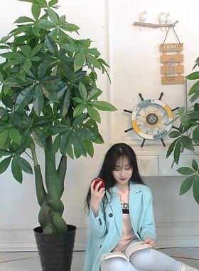 发财绿植厅仿生F95586TT盆栽客室内花假树摆设造景大塑型料树盆景