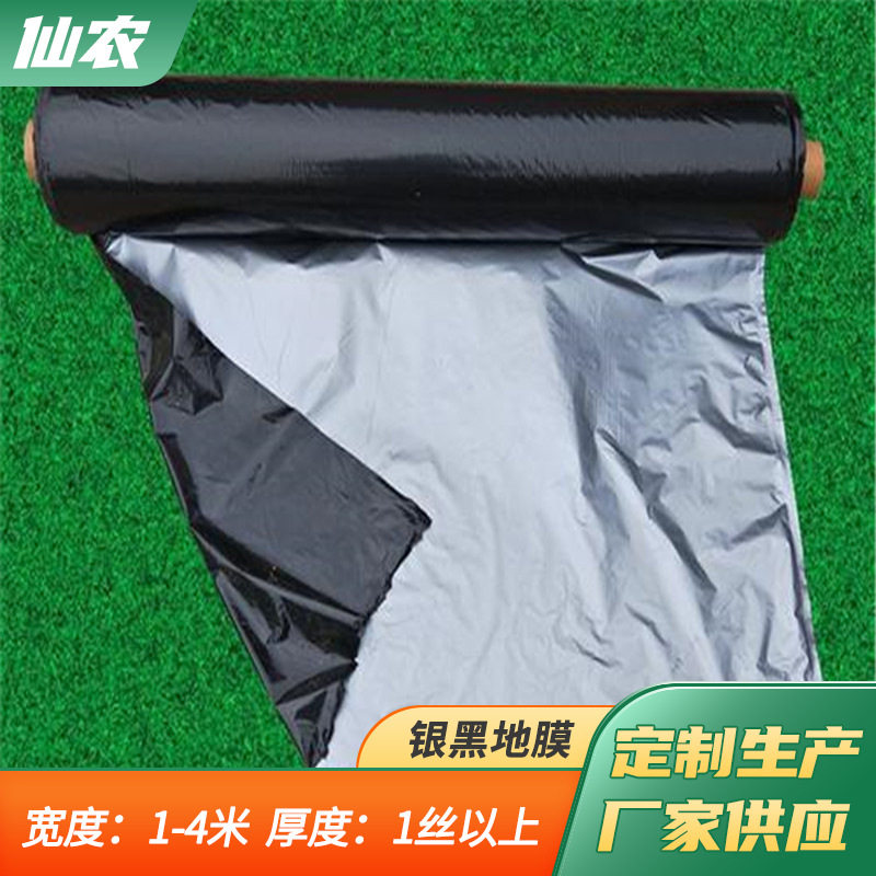 黑白双色反光防草农用薄膜 银黑膜聚乙烯地膜 种植除草遮光塑料布