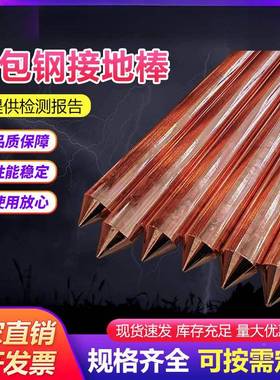 铜包接地棒防镀铜接地棒家WHQ用地线地装置接地针钢尖雷头接镀铜