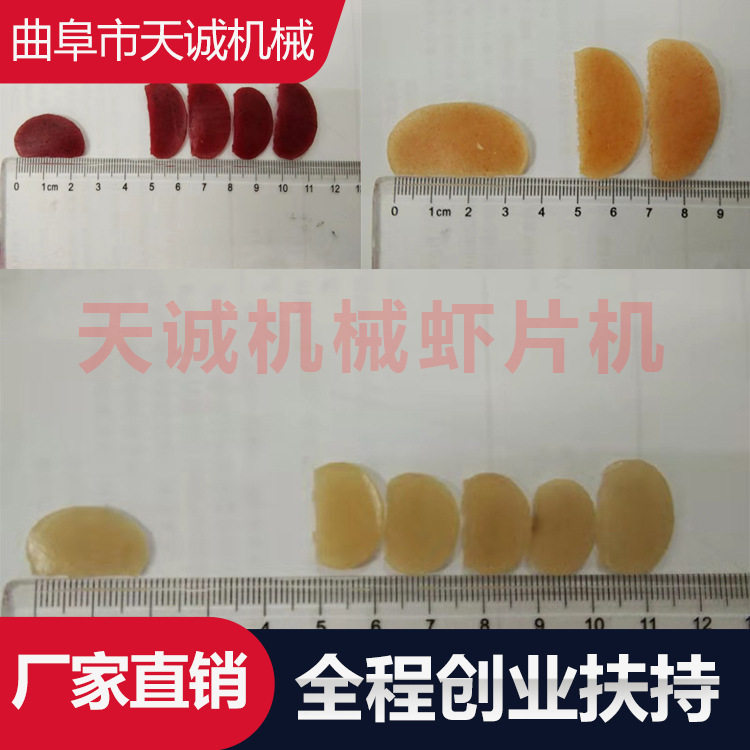 天诚牌商用不锈钢虾片生产机器 全自动五彩粉片设备厂家