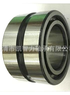 销S0450116PPLN厂176NF5017SL045018SL04509双列满装圆柱滚子轴承