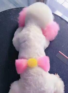 狗染发剂头发宠物专用染发剂樱花粉红色橙色染发剂白色猫动物