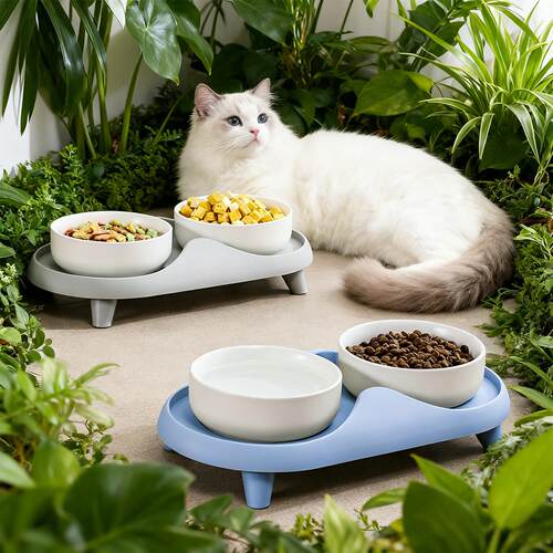 猫狗双碗陶瓷慢食碗宠物一体饮水器猫咪喂食碗吃饭防黑下巴易清洗