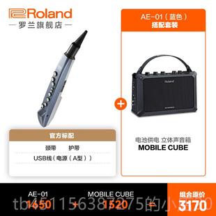 01C电吹管初者电萨克斯老年人子吹管 高档R学olan罗兰AE 01电