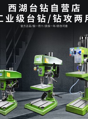 西湖钻攻一体机钻攻两用台钻ZS4112 ZS4120 JZS-25B 5032钻孔攻丝