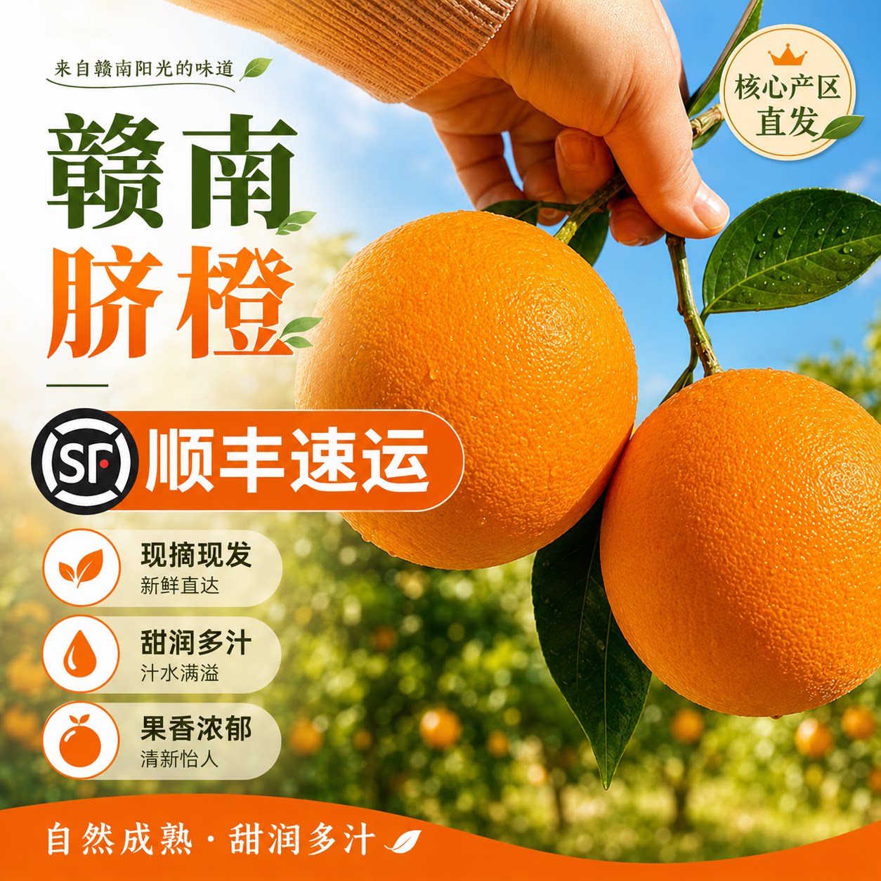 赣南脐橙10斤装正宗江西赣州新鲜水果橙子整箱现摘产地直发顺丰