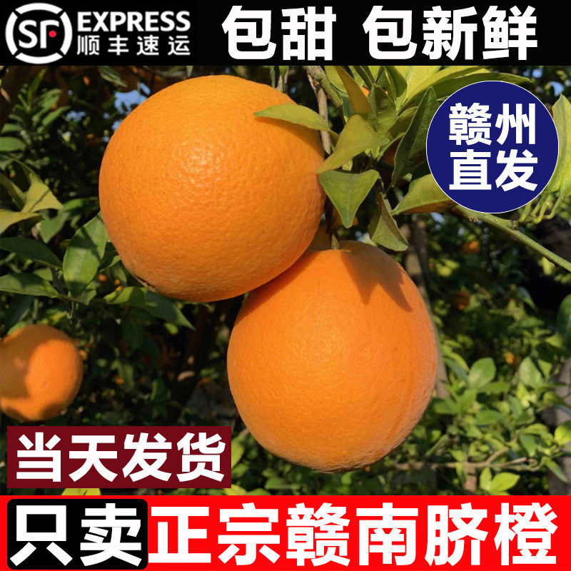 正宗赣南脐橙10斤装江西赣州当季新鲜水果整箱现摘产地直发顺丰