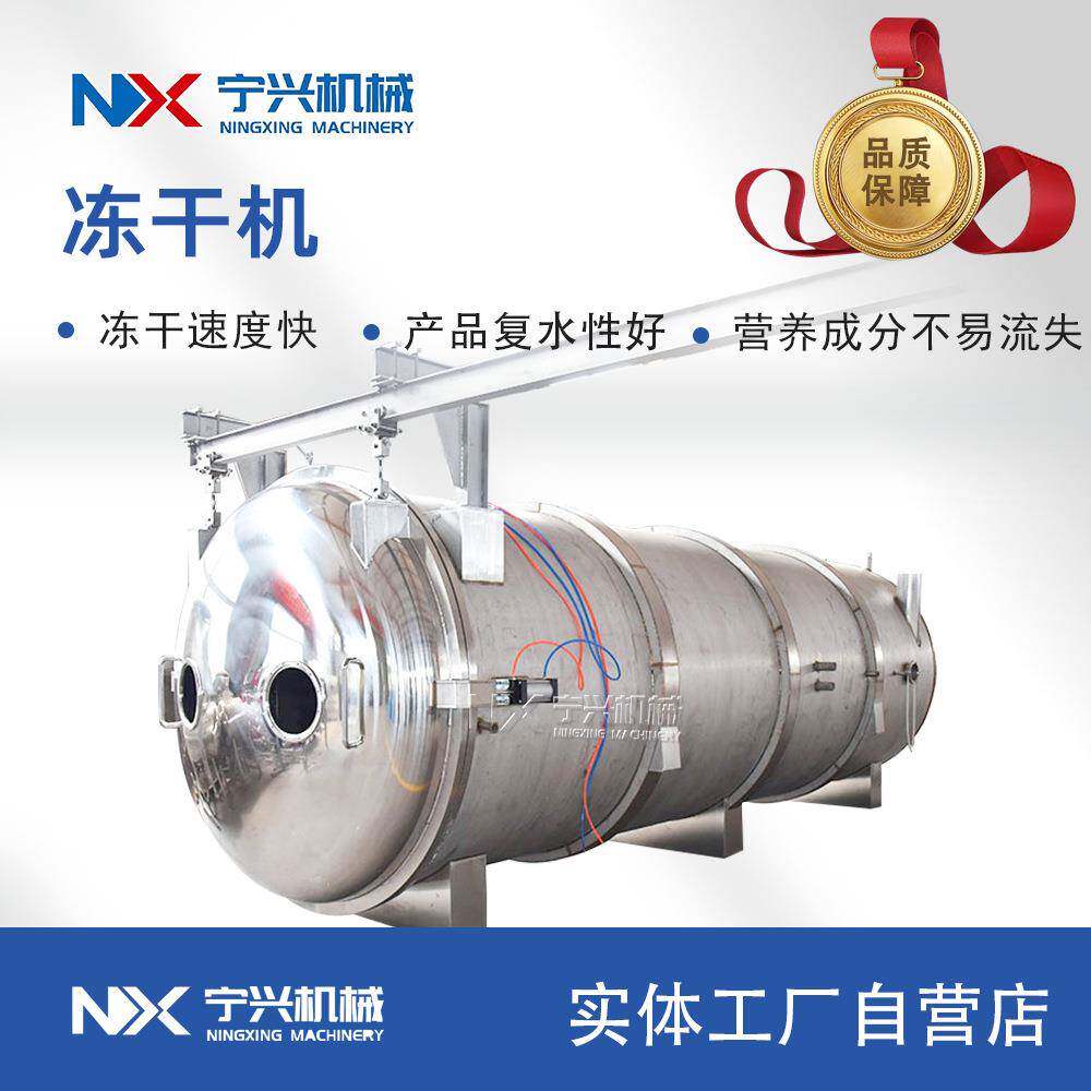 宁兴菠萝片真空冻干设备大型桑葚果粉真空冻干机果蔬脆冻干设备