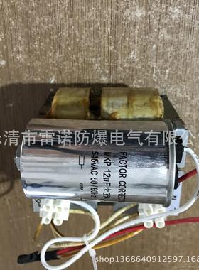 127V-175W矿用镇流器 美标金卤灯镇流器防爆