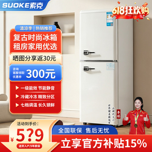 复古一级冰箱家用租房宿舍办公室