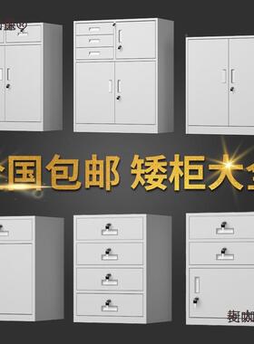 钢制矮柜TLB办公文件柜物铁皮矮资柜料档案打印机储柜带台锁阳麦