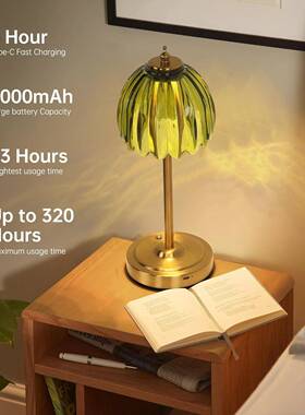 跨境电商灯台触控色调充电三客厅光卧室花朵氛TVU围创意玻璃床头