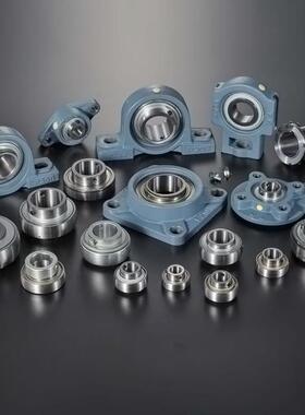 TR带立座外球面球轴承NAP0630738式30933100869311312可