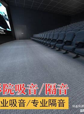 L影隔音地毯家楼层减震专业大面用全屋室院内影音室钢琴吸OLZ音积