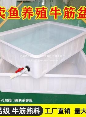 加牛厚水产养殖QDW筋塑水箱长方形浅盆卖鱼料养鱼养龟桶大容垒德