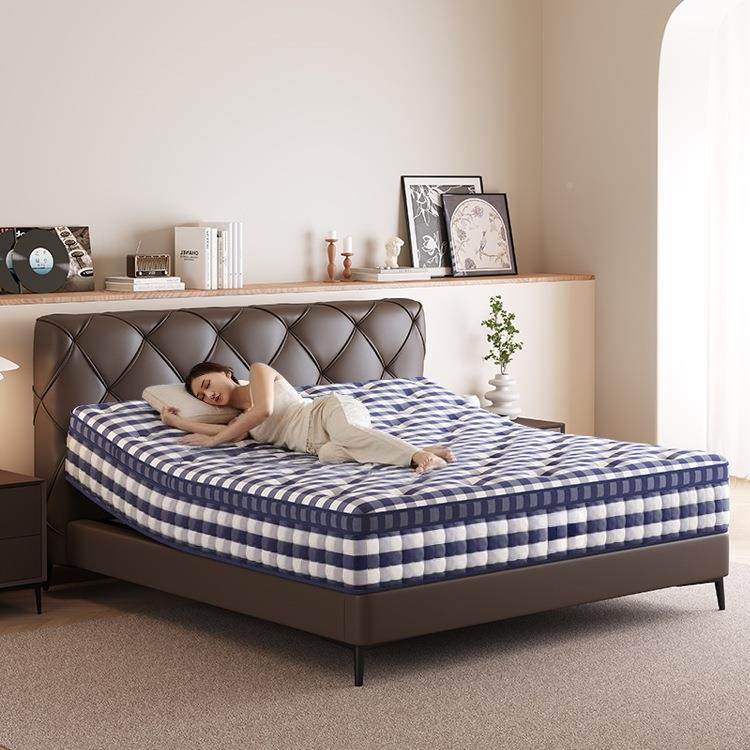 蓝格子智能床垫多功能零重力电动降震VUE升按摩防打鼾助动起其绢