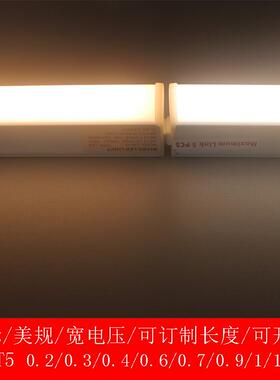 1250V10V220L1EDT灯管非标发V光角度60度3000K4LVI000K暖白正白T4