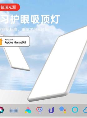 进口瑞眼芯片24496铝材无缝隙高亮护灯全光谱客厅灯吸顶普简约灯