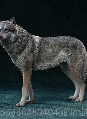 高档Jxk白狼北极模狼模拟模1/6拟野生动物周边家居高端饰型图品