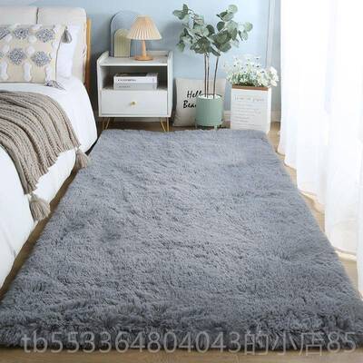 高档ins风女孩卧小地毯室高级感客厅床边冬天加厚长毛毯脚绒房间