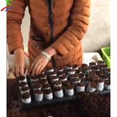 双筒无纺营布容养钵育苗机2万网产量HAN一小时袋器成型机