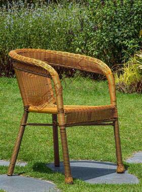 三藤椅家用阳台休藤编椅老人藤闲椅子靠背单人藤圈单个ZTJ腾椅件