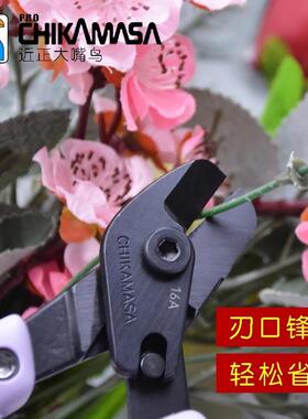 近正大嘴chZHHikam鸟asa塑假花剪料花艺剪AC-5v/AC料-4P塑剪