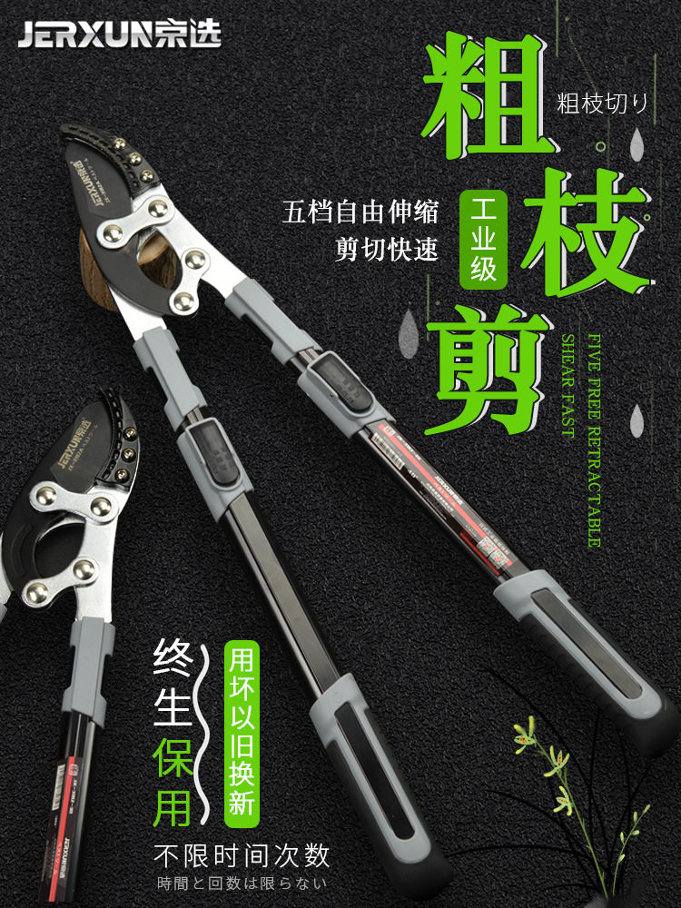 京选伸缩粗枝剪修枝剪树枝园林剪刀果树修剪省力高枝高空剪枝剪刀