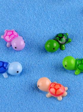 苔藓微景观生态瓶 五色海龟 小号乌龟公仔dIY造景 创意礼品玩具