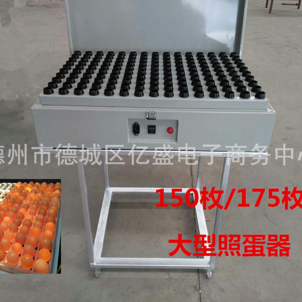 整盘照蛋器 大型孵化机照蛋机工教学标本/模型