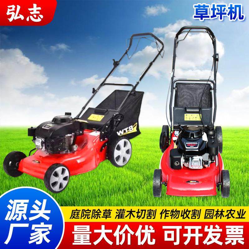 草坪机汽油割草机 自走推草机打草机 四冲程园林草坪修剪机