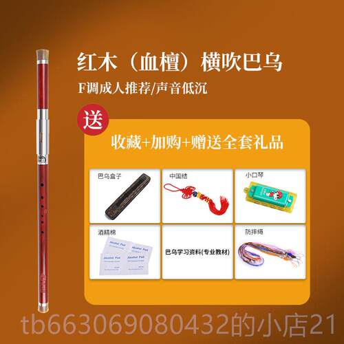 新款巴乌乐C器小学生成人初学红演奏级紫竹木降黑檀横吹竖吹fgb调