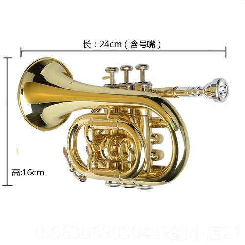 新款纯铜漆金号手掌号乐 袖珍降小号 口袋号 B调 三器音短初学 专