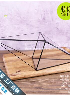 生态瓶青苔苔藓微景观绿植盆栽 创意diy小盆景桌面家居摆件雨林缸
