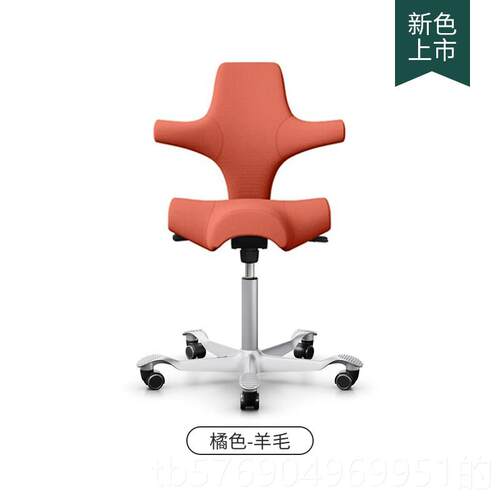 新款挪威口进软HGA Capisco骑马椅真皮款人体工学电脑办公椅 羊毛