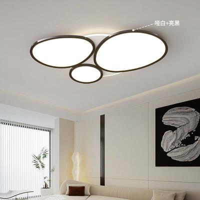 朵灯护眼客厅顶灯主灯35191鹅卵石吸灯超薄现代简新款全屋套餐约