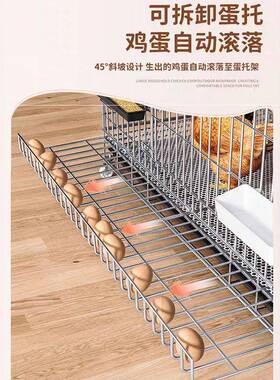 鸡子家用养大号特大号自动清粪叠养折笼鸡舍ZRF笼铁丝网鸭鹅殖笼