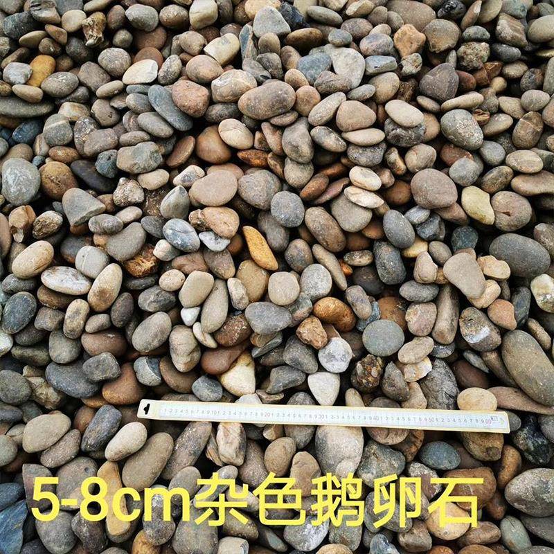 园林造景鱼工色程杂鹅多卵石铺路抛光雨花石缸86829装饰彩石头