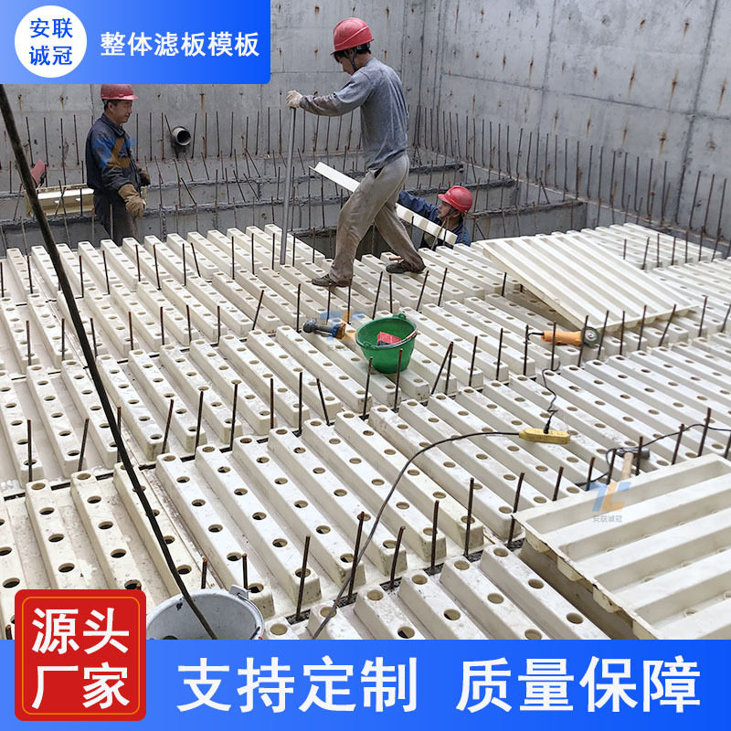 安联诚冠水厂ABS整体浇筑滤板