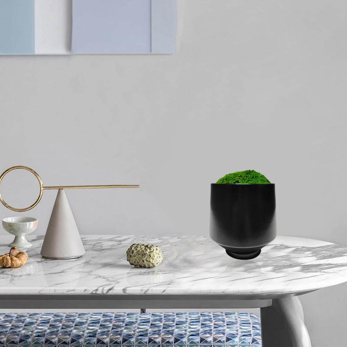 新中式苔藓植摆绿样板房茶室软苔藓绿植装饰品玄关电视柜茶几博架