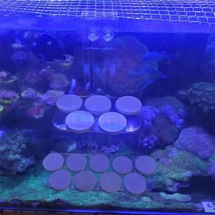 珊瑚断支架 繁殖挂钩 海缸硬骨软体骨纽扣繁殖 繁殖断枝架托盘架