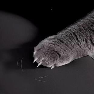 抓猫钢琴凳套m罩皮加厚通用琴椅子双单人升降凳罩简防约雅玛哈黑