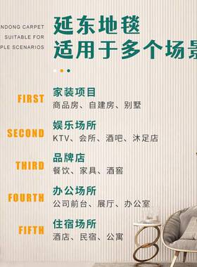 微防水新西兰羊毛地毯法式客厅室边地毯卧酒民店宿工床程MJ09工厂