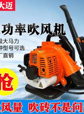 新款吹抽负吸两用吹风机背四灭冲程大功率风力火机汽OPV油手提叶